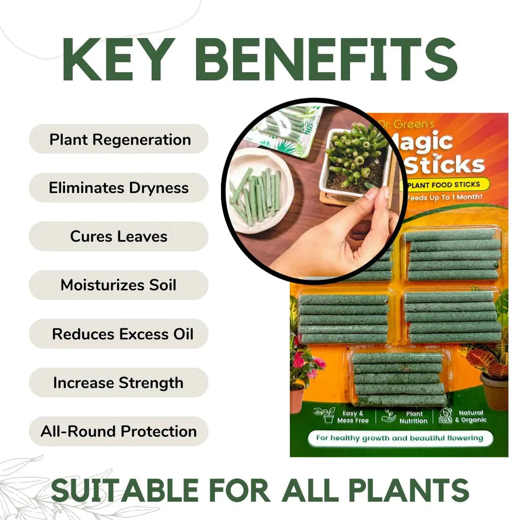 Dr.Green's - Magic Plant Sticks - 25 Sticks