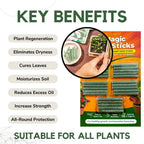 Dr.Green's - Magic Plant Sticks - 25 Sticks