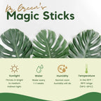 Dr.Green's - Magic Plant Sticks - 25 Sticks