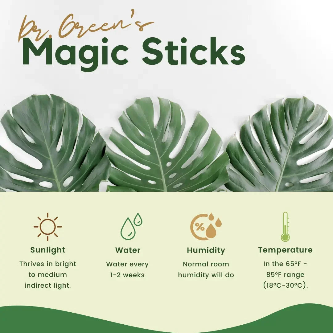 Dr.Green's - Magic Plant Sticks - 25 Sticks