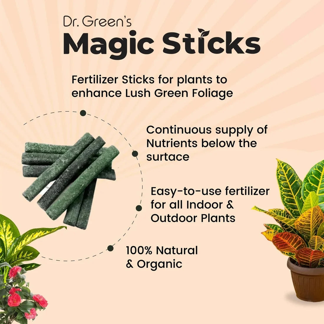 Dr.Green's - Magic Plant Sticks - 25 Sticks